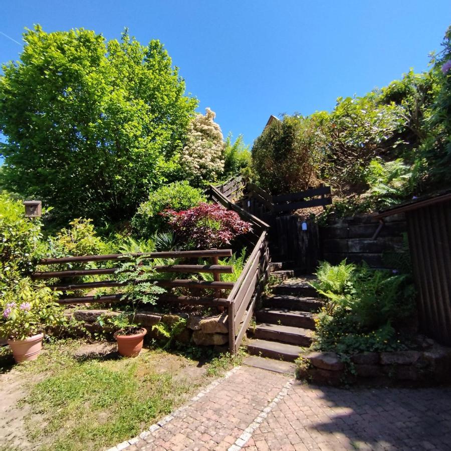 Chalet Spessart Dammbach Exterior photo